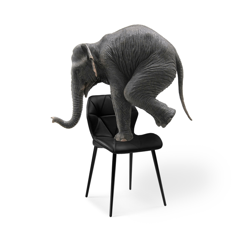 Стул на металлокаркасе, Вальд экокожа черный / черный глянец