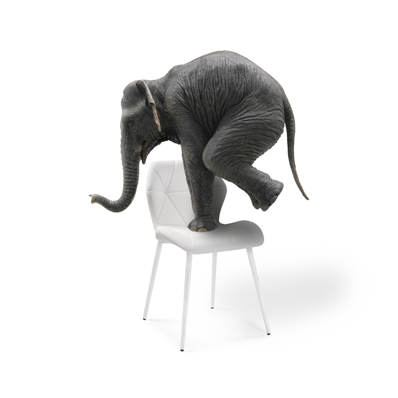 Стул на металлокаркасе, Вальд экокожа белый / белый глянец