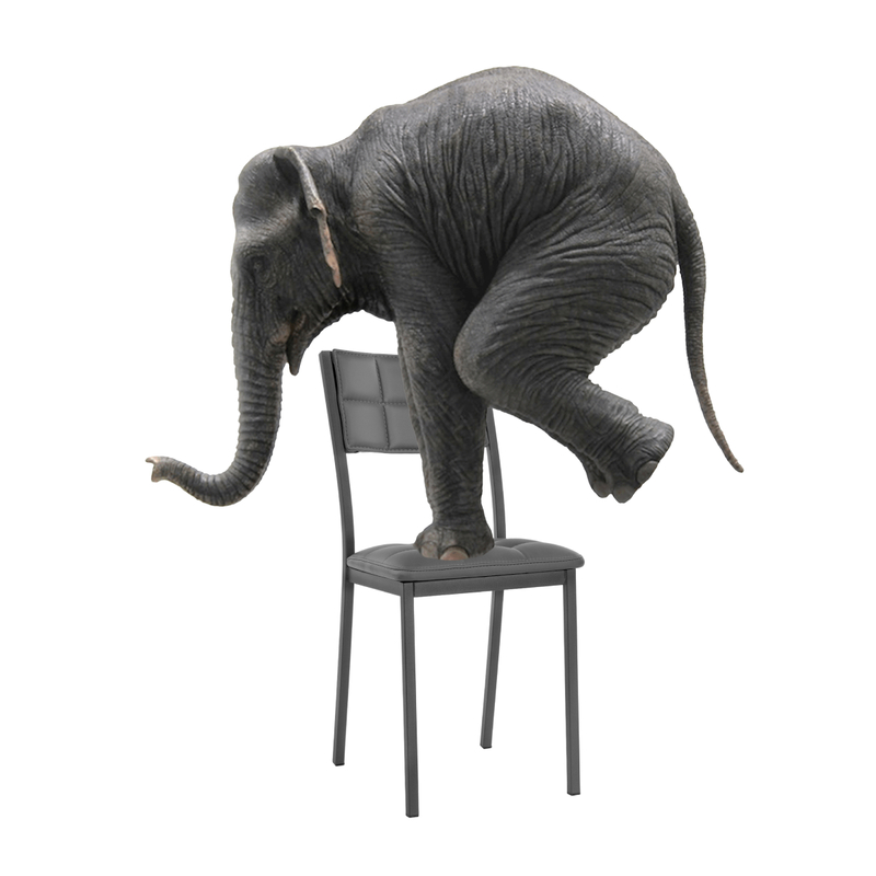 Стул на металлокаркасе, Бекал темно-серый / графит