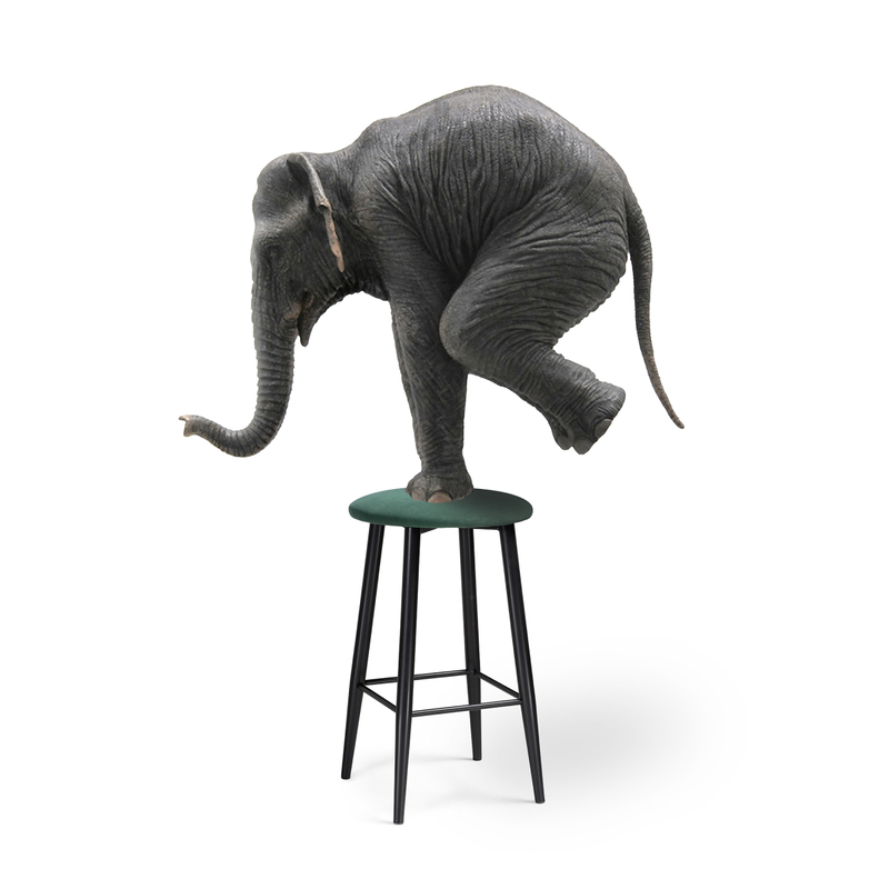 Барный стул, Гангток катания изумруд / черный матовый