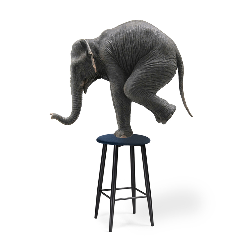 Барный стул, Гангток темно-синий / черный матовый