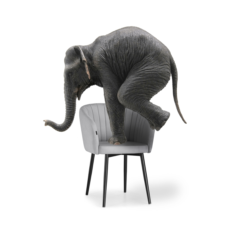 Стул на металлокаркасе, крутящийся Моншау velutto 52 / черный