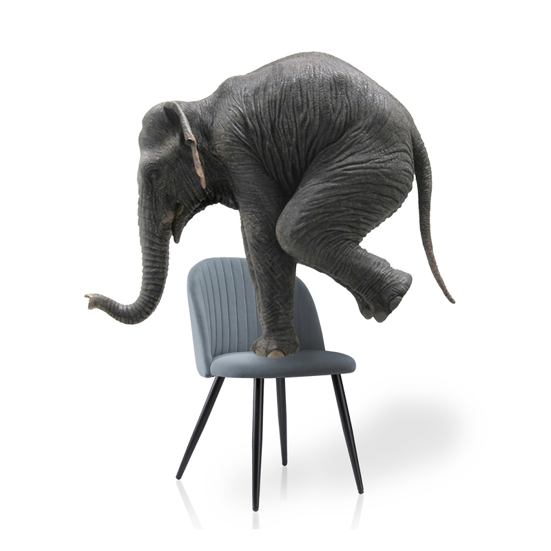 Стул на металлокаркасе, Gabi 1 gray / black