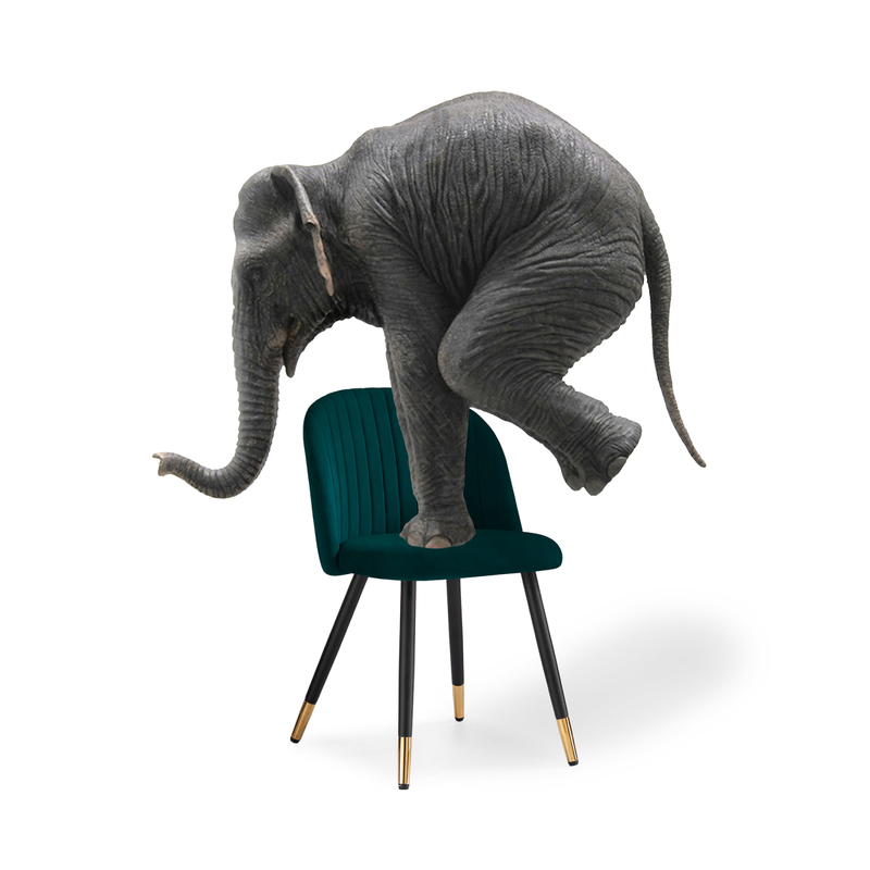 Стул на металлокаркасе, Gabi green / black