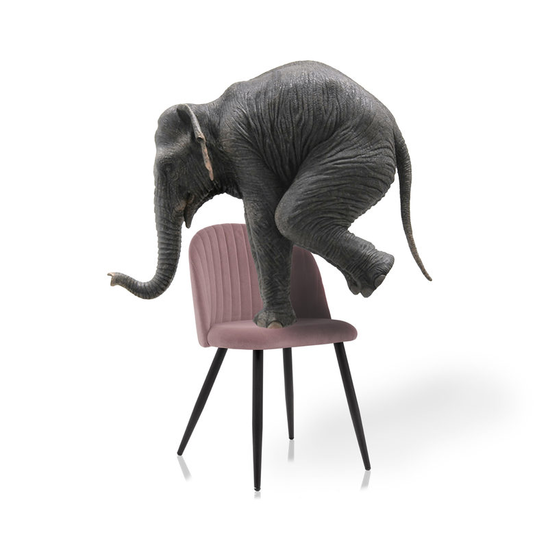 Стул на металлокаркасе, Gabi 1 light purple / black