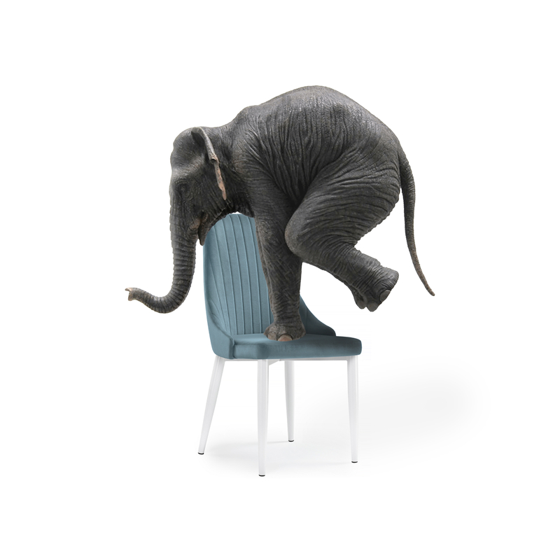 Стул на металлокаркасе, Kora light blue / white