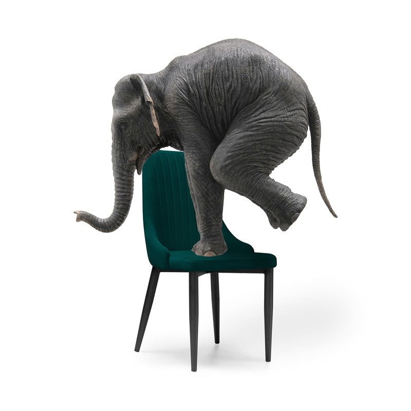 Стул на металлокаркасе, Kora green / black