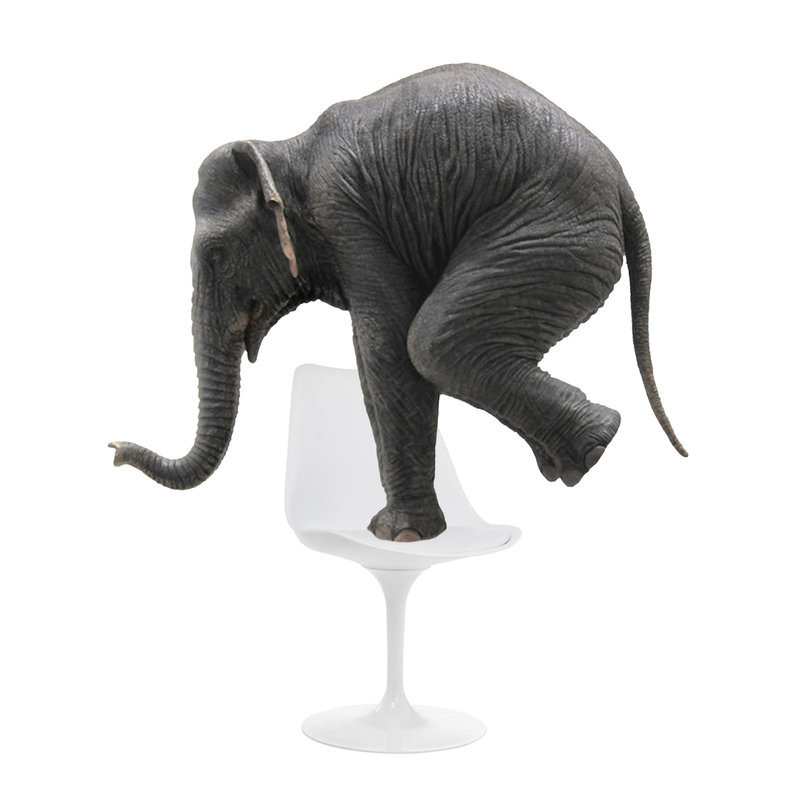 Стул на металлокаркасе, Tulip white