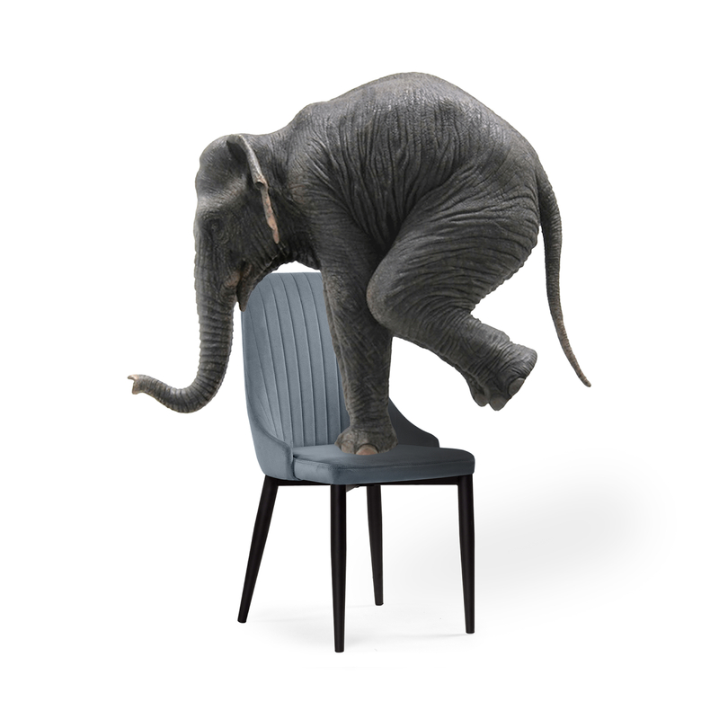 Стул на металлокаркасе, Kora gray / black