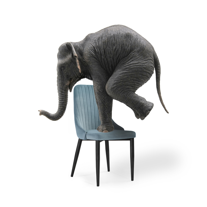 Стул на металлокаркасе, Kora light blue / black