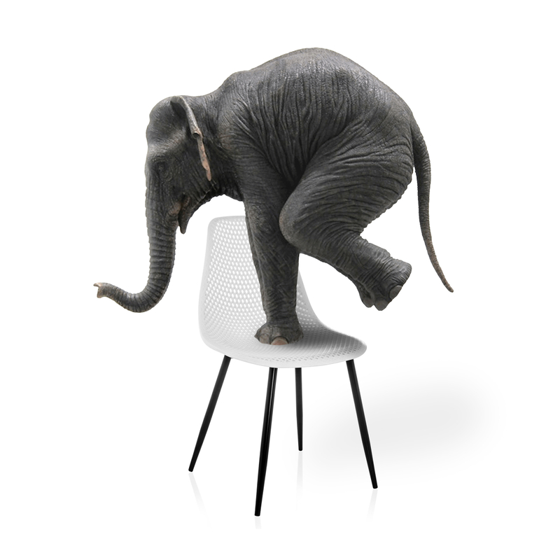 Стул на металлокаркасе, на металлокаркасе Vero белый