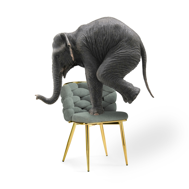 Стул на металлокаркасе, на металлокаркасе Rendi light gray / gold