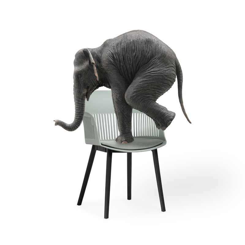 Пластиковый стул, Crocs light green / black