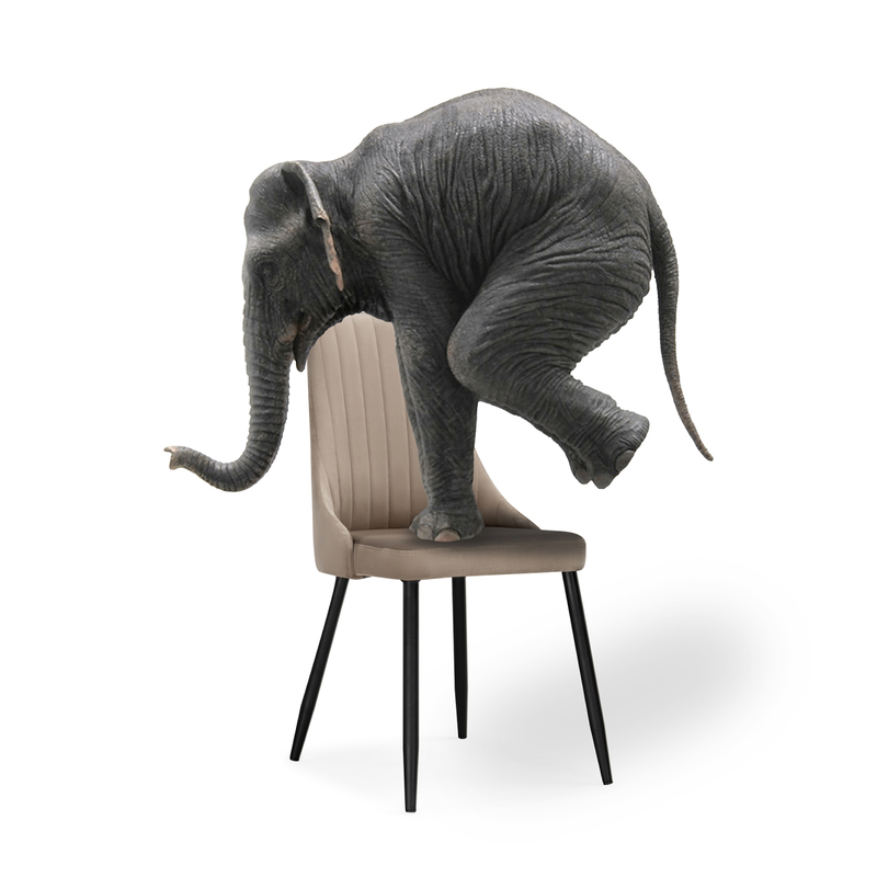 Стул на металлокаркасе, Кора бежевый / черный