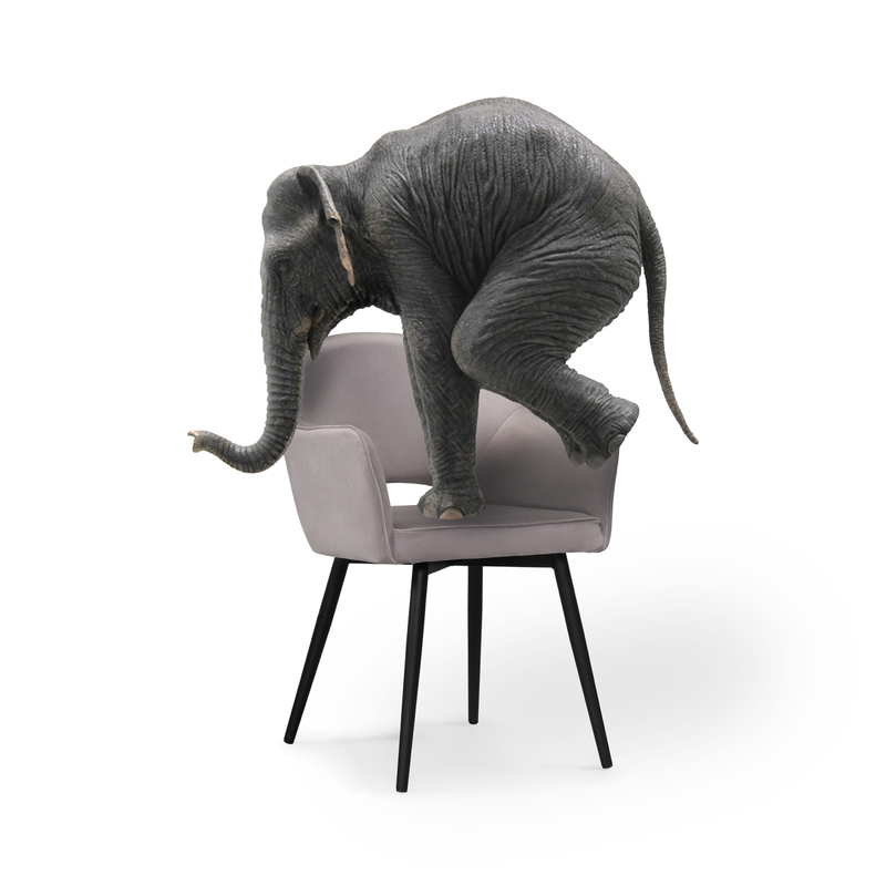 Стул на металлокаркасе, Ойстер MR-28 / черный