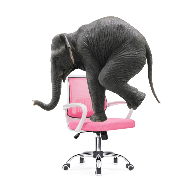 Компьютерное кресло, Ergoplus pink   / white