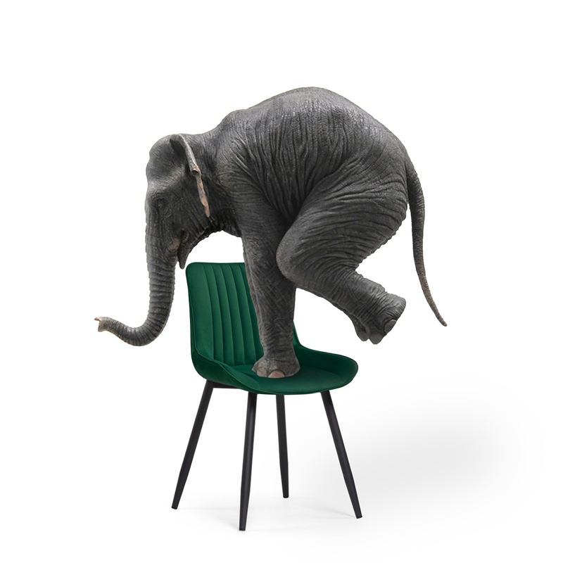 Стул на металлокаркасе, Седа зеленый / черный