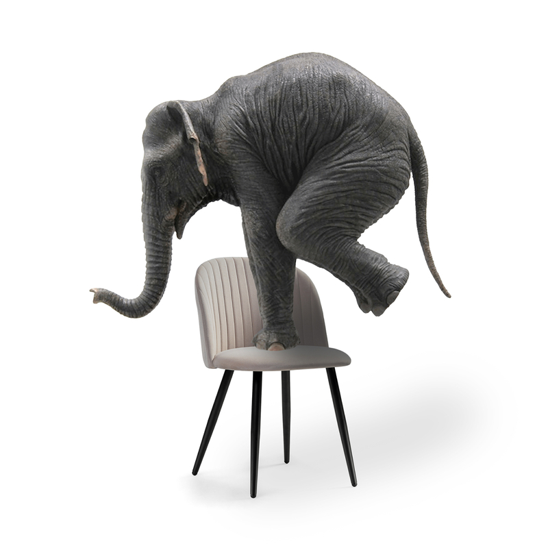 Стул на металлокаркасе, Gabi 1 latte / black