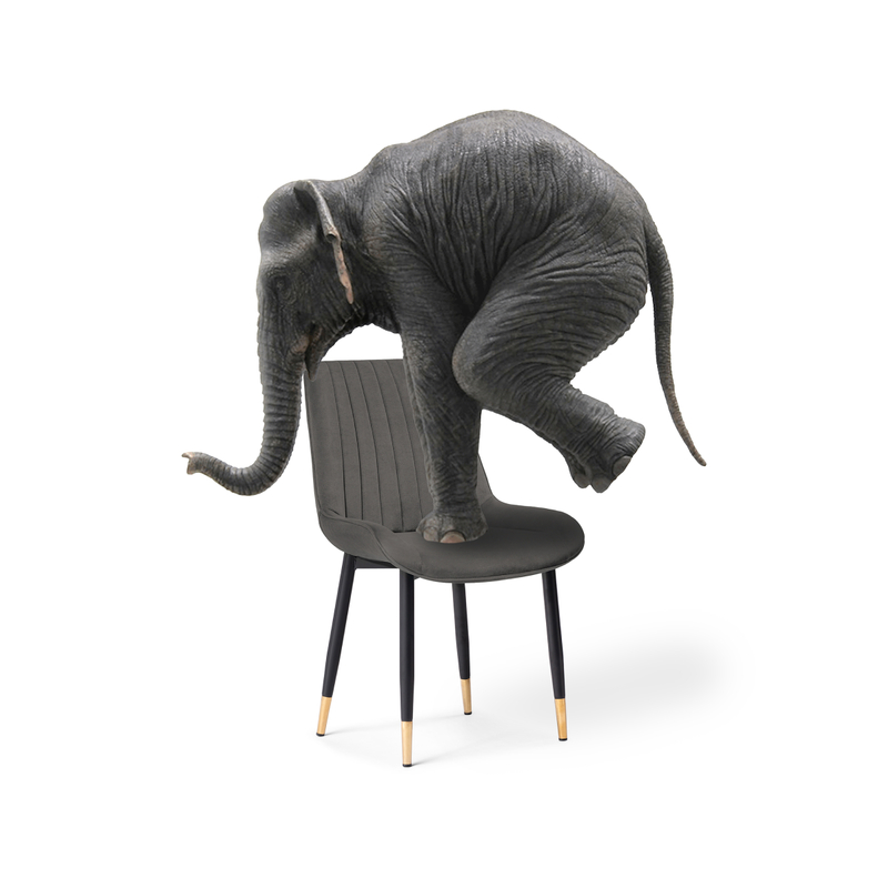 Стул на металлокаркасе, Seda-1 dark gray / gold / black