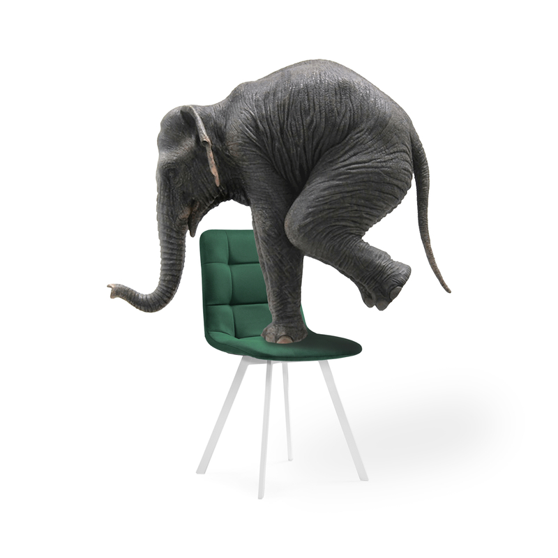 Стул на металлокаркасе, Чилли зеленый / белый