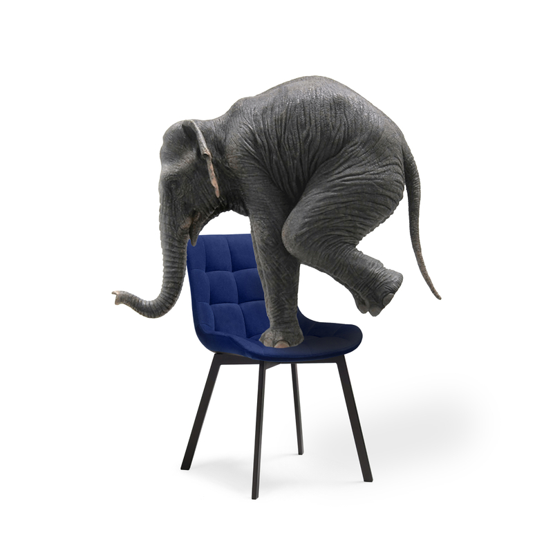 Стул на металлокаркасе, Челси синий / черный