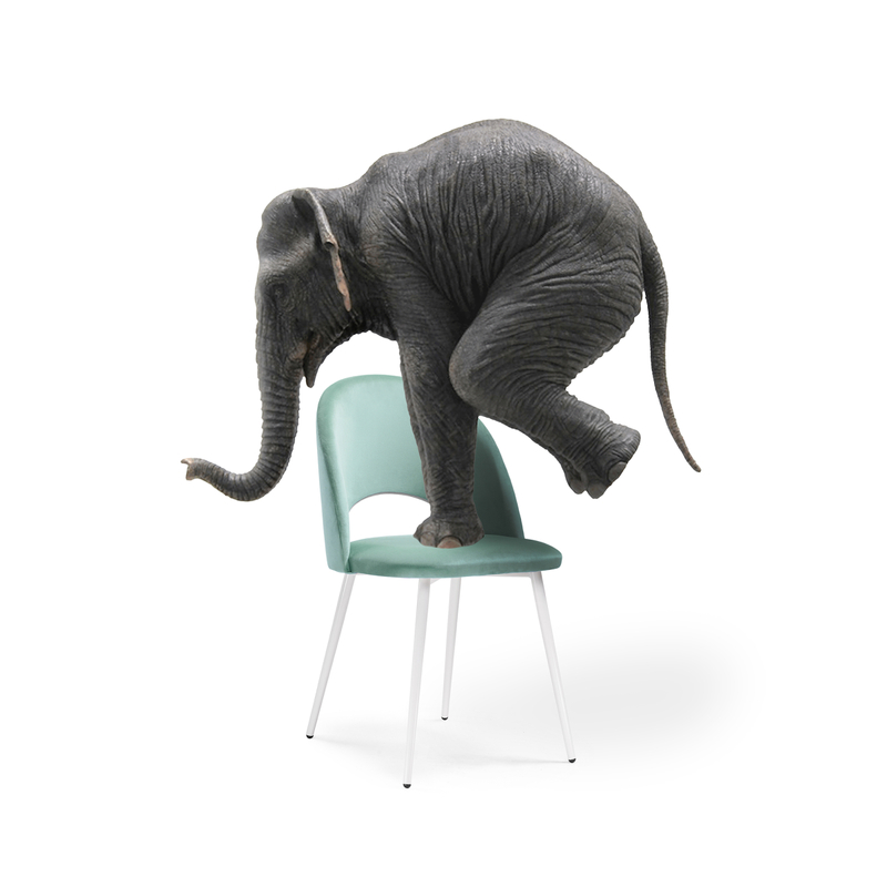 Стул на металлокаркасе, Ирре confetti aquamarine / белый глянец