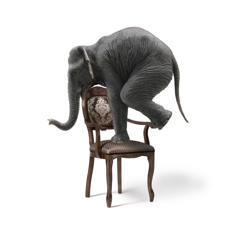 Стул деревянный, Лауро орех / коричневый