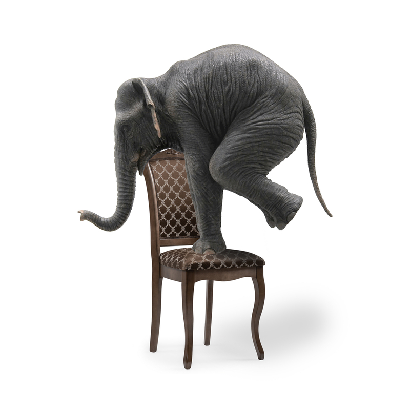 Стул деревянный, Луиджи орех / коричневый