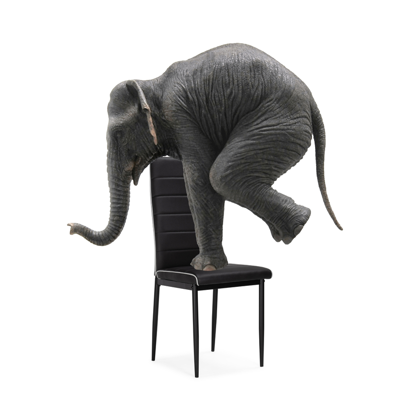 Стул на металлокаркасе, DC2-001 black / white