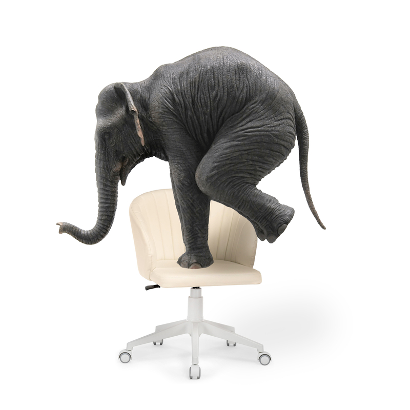 Офисное кресло, Пард экокожа слоновая кость