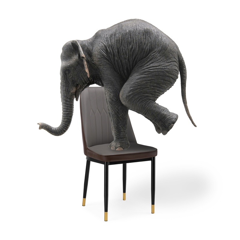 Стул на металлокаркасе, Flor