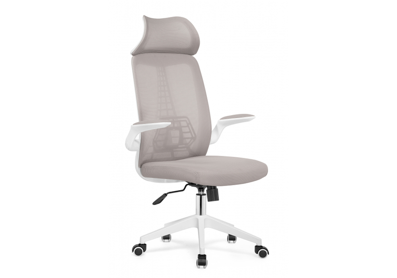 Компьютерное кресло, Lokus light gray