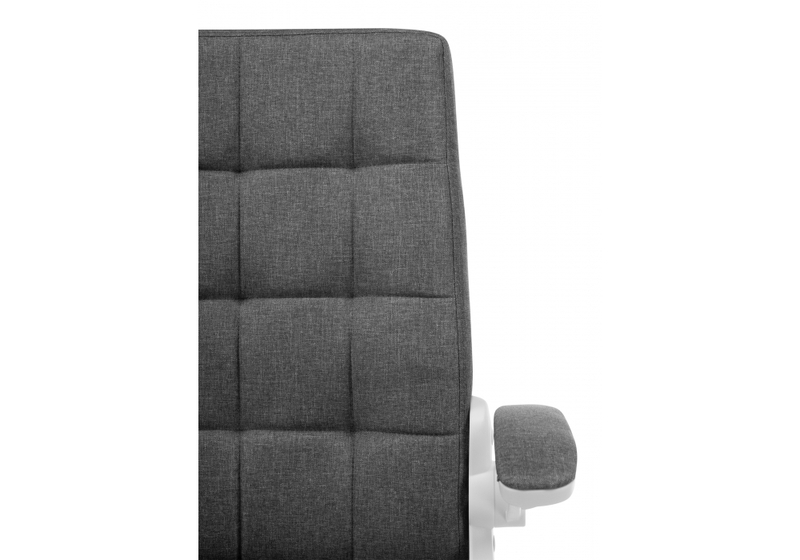 Компьютерное кресло, Elga gray / white